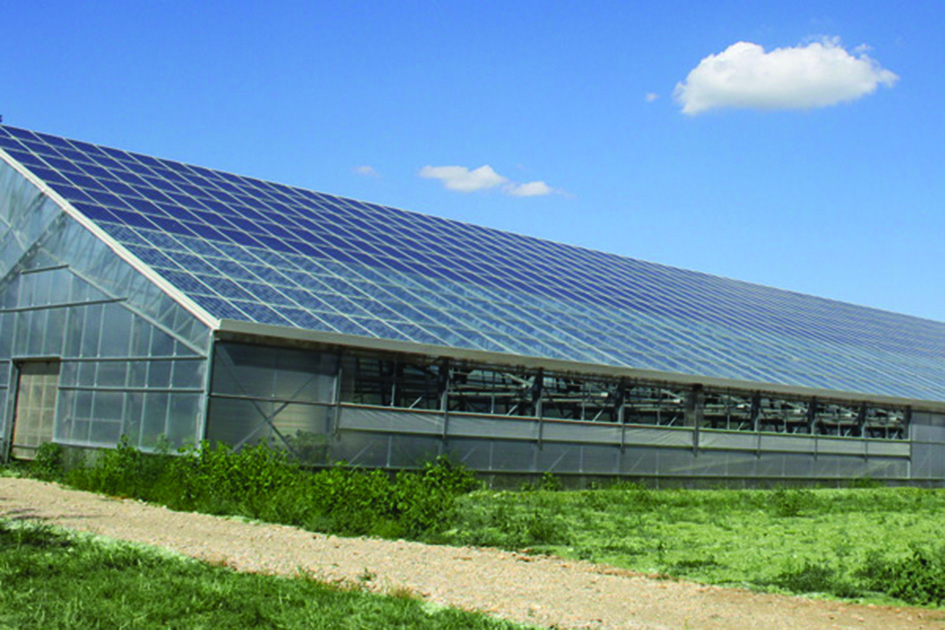 La serra fotovoltaica che sfrutta il 90% della luce solare