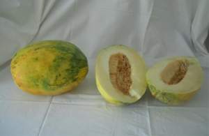 Meloni reggiani