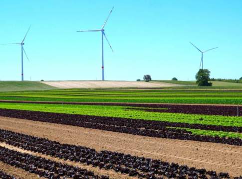 energia e agricoltura